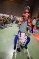fotogalerie/2025_kifa/thumb_m_2025-03-02_16-55-28 IMG_7452.jpg