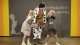 fotogalerie/2026/thumb_m_06_MG_2392.jpg